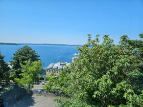 Lake View Downtown Kirkland - Image 4