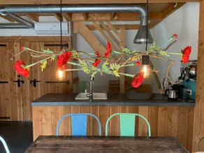 Poppy Cottage - Image 4