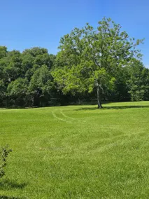 Peaceful Retreat | 20 Acres | Near Round Top - Image 4