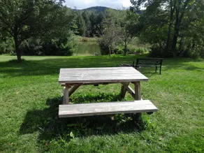 Remote, pond view log home, fully loaded, sleeps 6 - Image 4