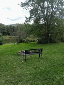 Remote, pond view log home, fully loaded, sleeps 6 - Image 3