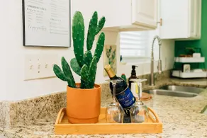 Fiesta Siesta! A Fun + Vibrant Stay- <1 mile Walk to Beach   [ 4plex ] - Image 4