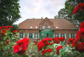 Forest farm in secluded location with fenced 16,000m² park, sauna, fireplace, hot tub in West Mecklenburg - Image 4