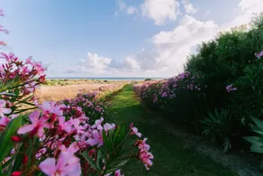 Garden Duplex - Trafalgar Polo Club - Image 5