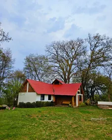 Magical Cabin in Huasca - Image 2
