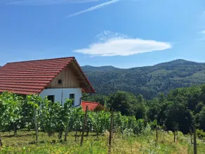 Vineyard Cottage Vidrih - Image 2