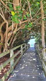 Walk to Beach 4BR | Fenced Yard | Family Ready - Image 3