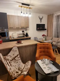 BH and Semiramida Ski Apartment - Image 2