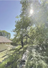 The architect's secluded cottage dream - Image 2