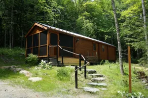 Alchemist's Cabin | Gothic Forest Retreat - Image 4