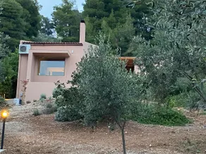 Askalosia villa - Image 2