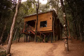 Tree House - Whirlpool | Santa Clara - Image 2