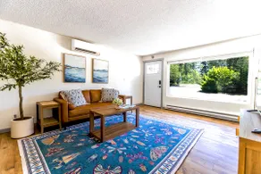 Cozy Get Away, Bring Fido Park Like Backyard - Image 5