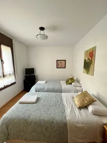 Alma apartment downtown Biescas l Wifi l Parking - Image 5