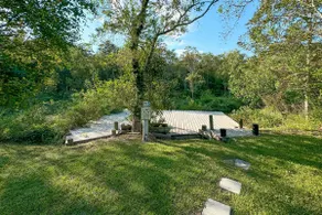 Amazon Riviera- A Peaceful Riverside Forest View - Image 2