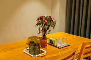 Aarna studio - Image 4