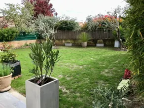 The 2 Olive Trees - Image 4