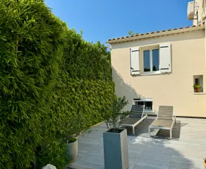 The 2 Olive Trees - Image 2