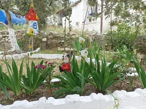 LOTUS House History & Nature & Comfort - Image 3
