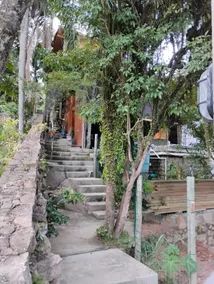 house between beaches - Image 4
