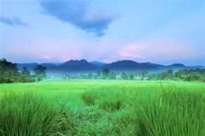 Amazing Views at Ban Dalah Pai. Room 2, King Bed - Image 2