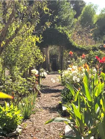 Ojai Oasis - Image 3