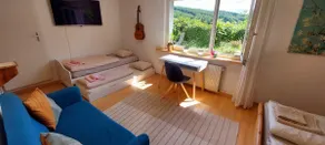 Sunny garden apartment, walking distance from the Goetheanum - Image 3