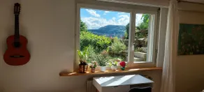 Sunny garden apartment, walking distance from the Goetheanum - Image 4