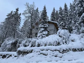 Villa Gusto, 3km from Pamporovo - Image 3