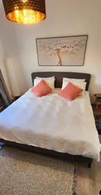 Vacation apartment overlooking the Sea of Galilee - Image 3