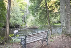 Clyde's Cove - Image 4
