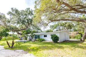Live Oak on The Indian River - Image 2