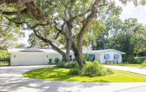 Live Oak on The Indian River - Image 4