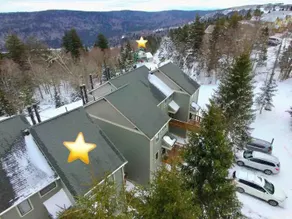 8 Powderidge, Snowshoe, WV - Slopeside Sanctuary - Image 5