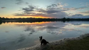 Forest idyll by the lake, whole house in the dog run area - Image 2