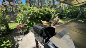 Forest idyll by the lake, whole house in the dog run area - Image 3