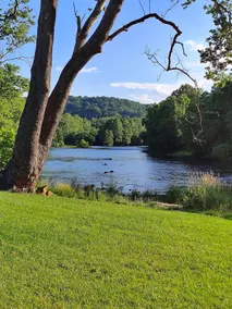 Little River Escape-Hot Tub -River Front-Fishing - Image 2