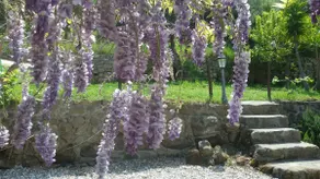 House with garden overlooking Mount Etna - Image 5