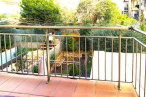 Niu Berga - Image 4