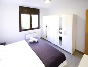 Niu Berga - Image 5