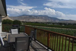 Palisade Vineyard Paradise! - Image 2