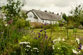 The Millers Cottage - Image 5