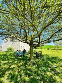 A home in the Loire valley - Image 2