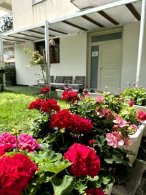 Casa Costy, cozy apartment in Acitrezza (Catania) - Image 3