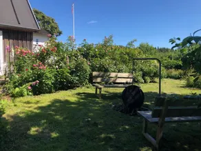 Sondrup Gæstgiveri - Image 5
