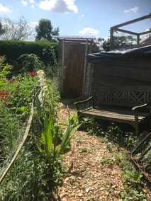 Renovated farmhouse - permaculture garden - Image 4
