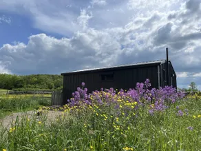 Comfortable and minimalist lodge - Image 3