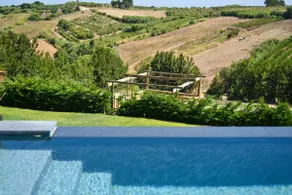 Quinta dos Castanheiros - Studio [Chestnut Grove Farm - Studio] - Image 3