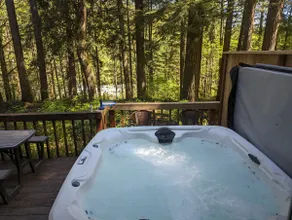 Riverfront cabin with hot tub! - Image 2