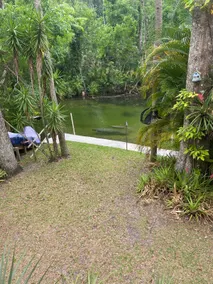 Dogwood Cottage on the River Read 5 stars reviews - Image 2